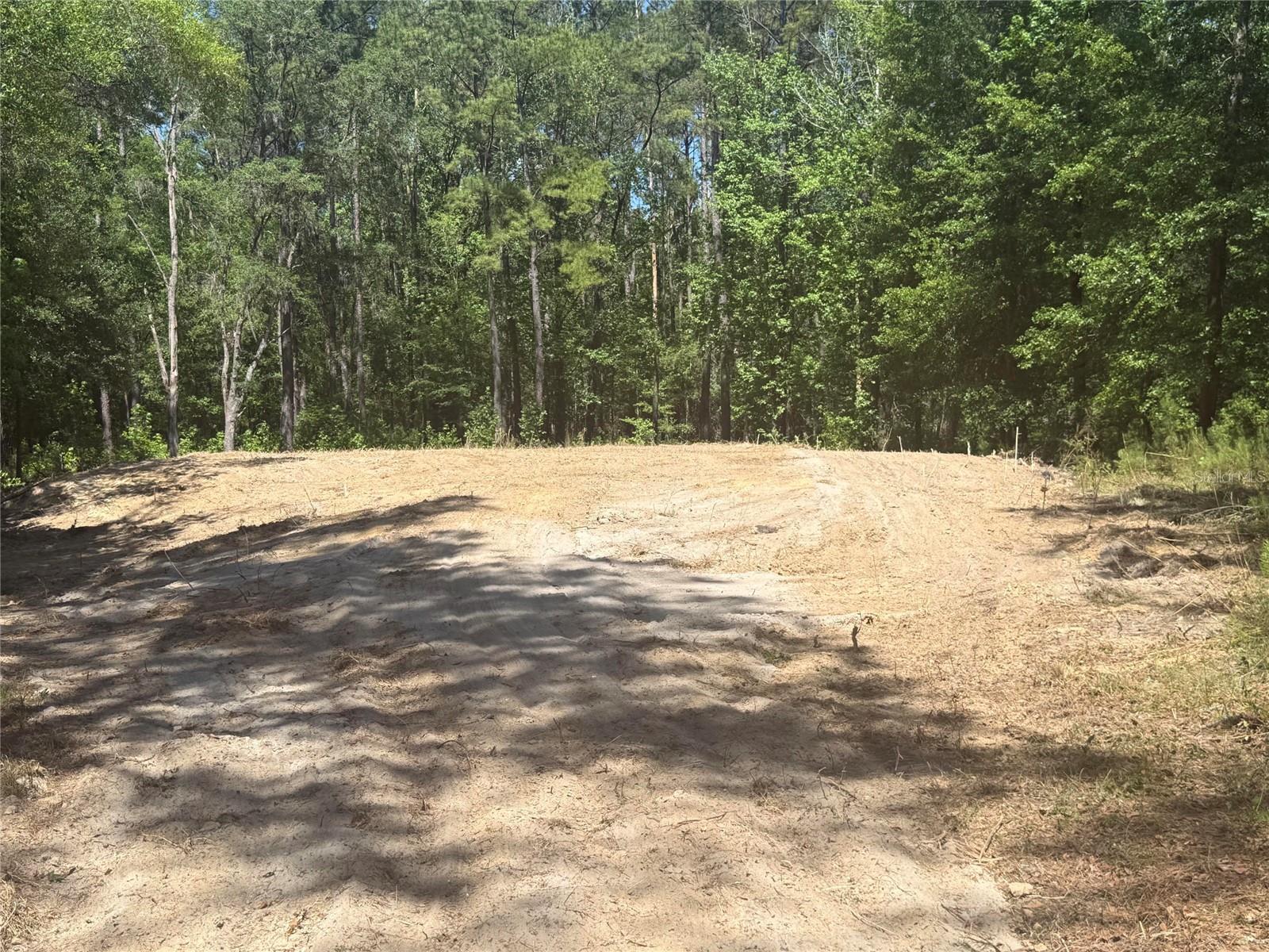 0 NW 145 AVE, WILLISTON, FL — photo 4