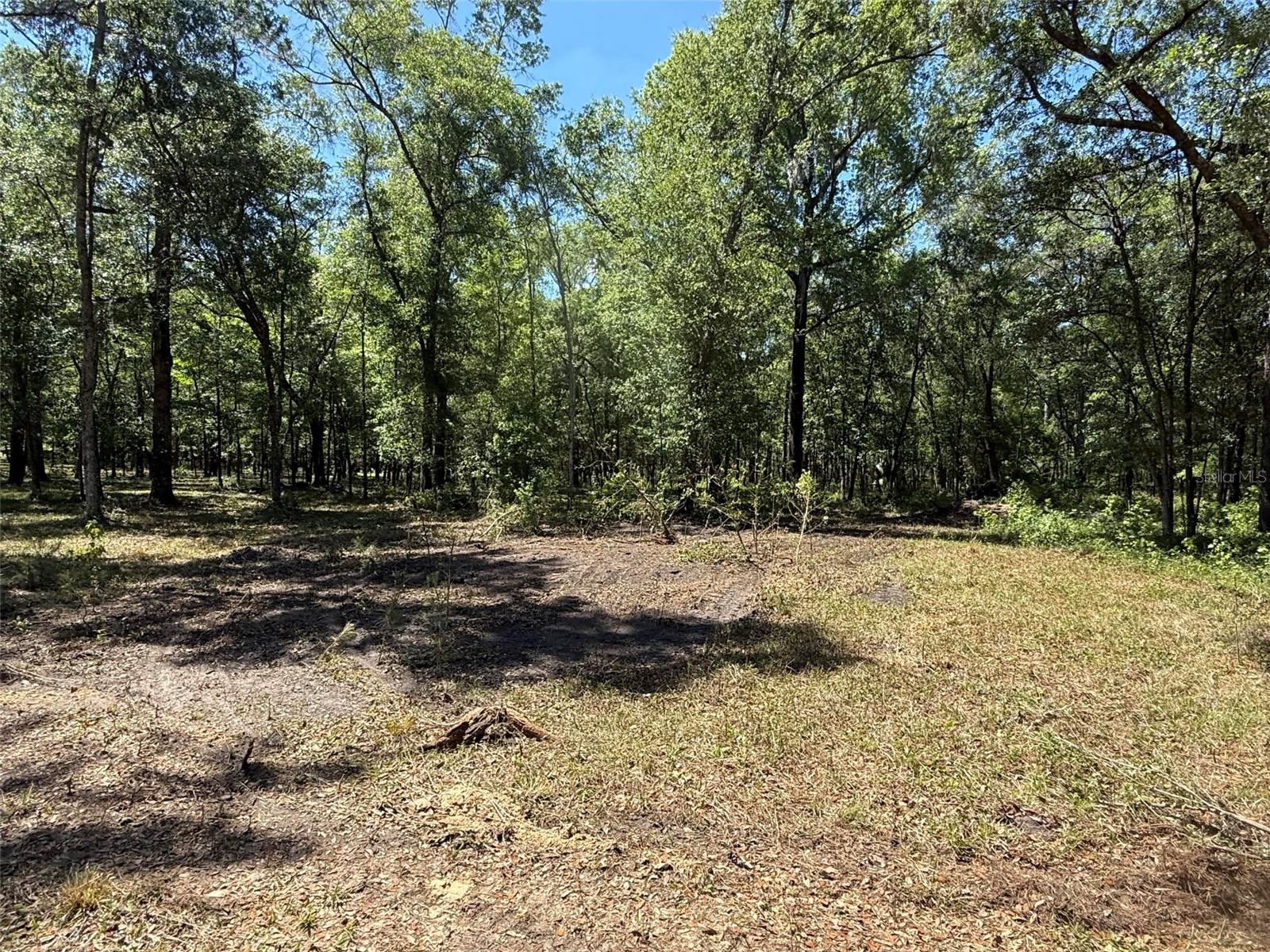 0 NW 145 AVE, WILLISTON, FL — photo 6