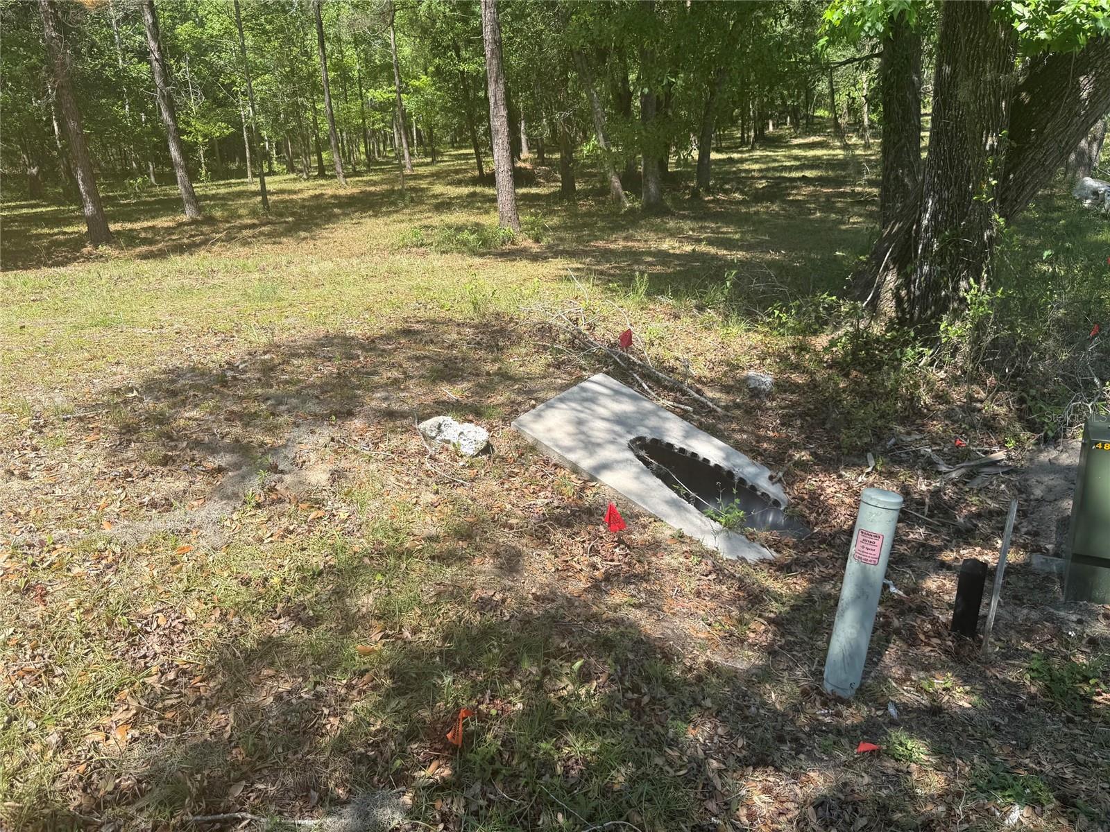 0 NW 145 AVE, WILLISTON, FL — photo 8
