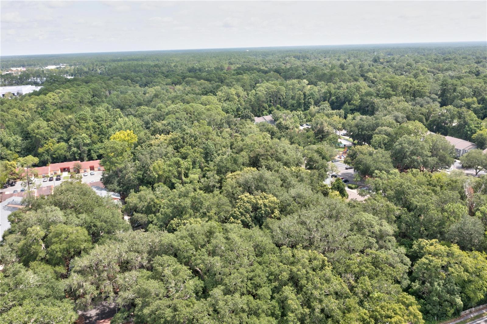 780 NE 23RD AVE, GAINESVILLE, FL — photo 2