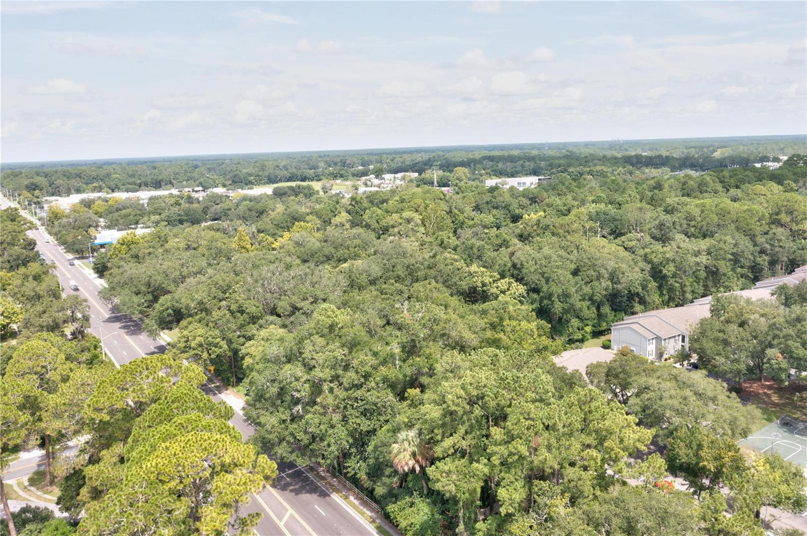 780 NE 23RD AVE, GAINESVILLE, FL — photo 5