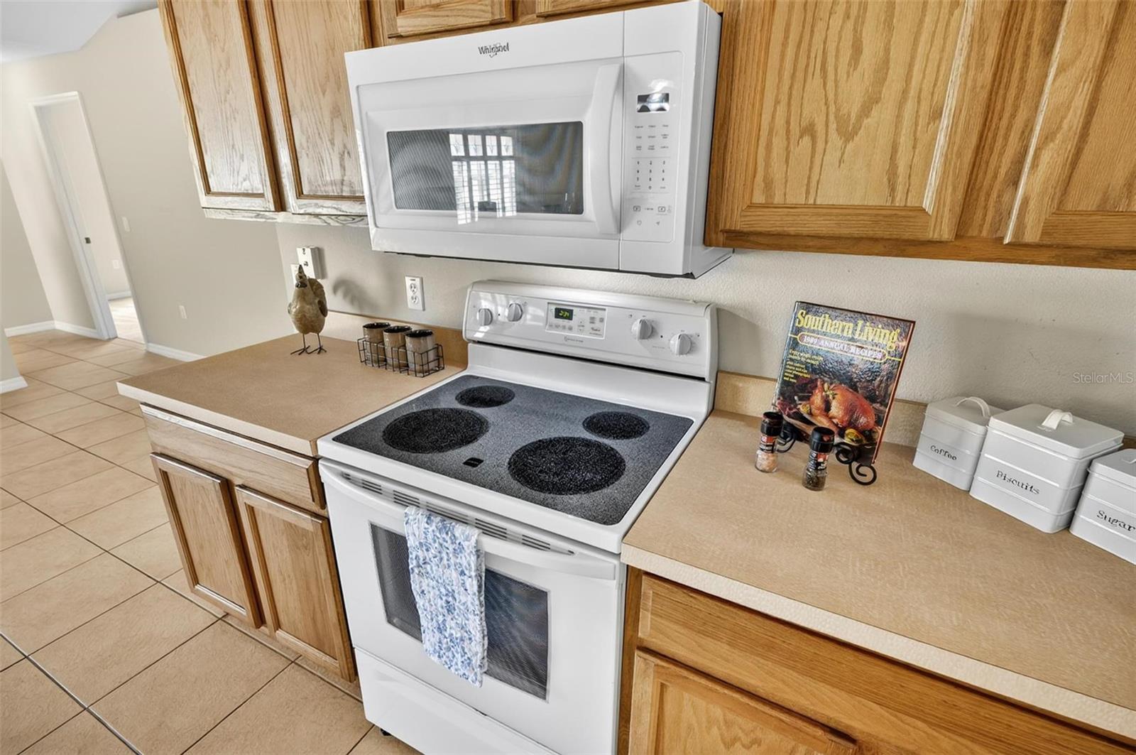 1 ETHAN PL, PALM COAST, FL — photo 24