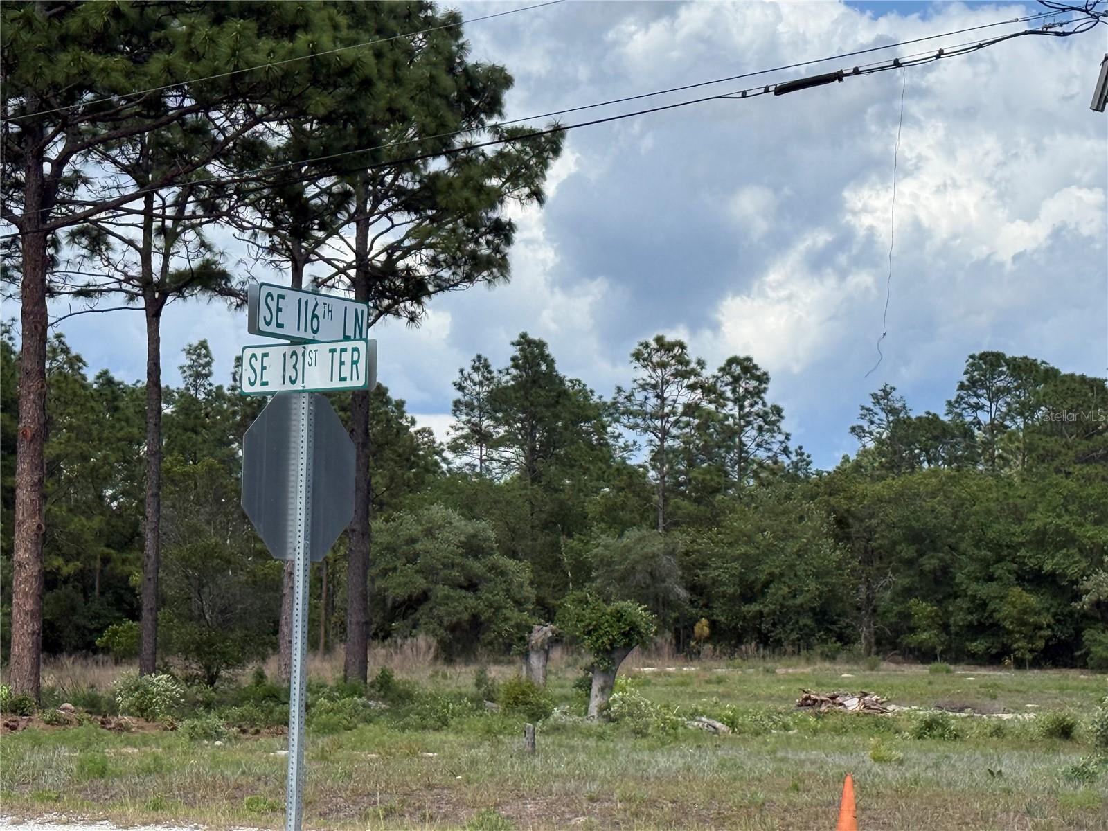 00 SE 116TH LN, DUNNELLON, FL — photo 3