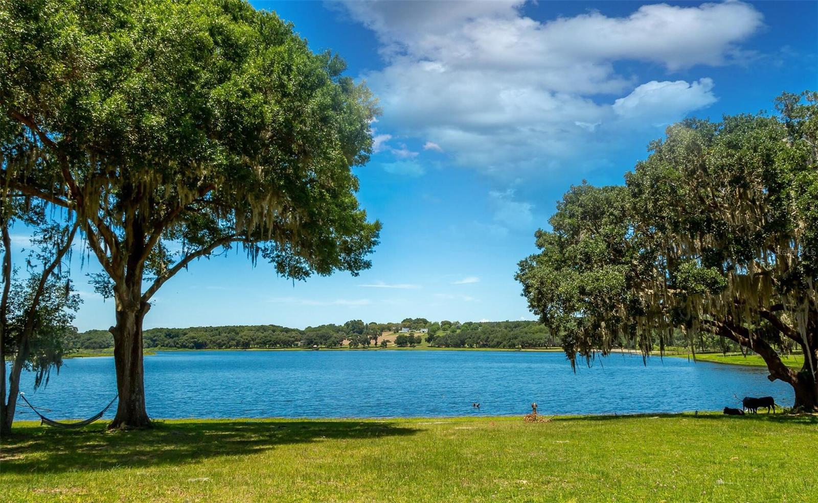 34710 CLAYTON RD #9, DADE CITY, FL — photo 3