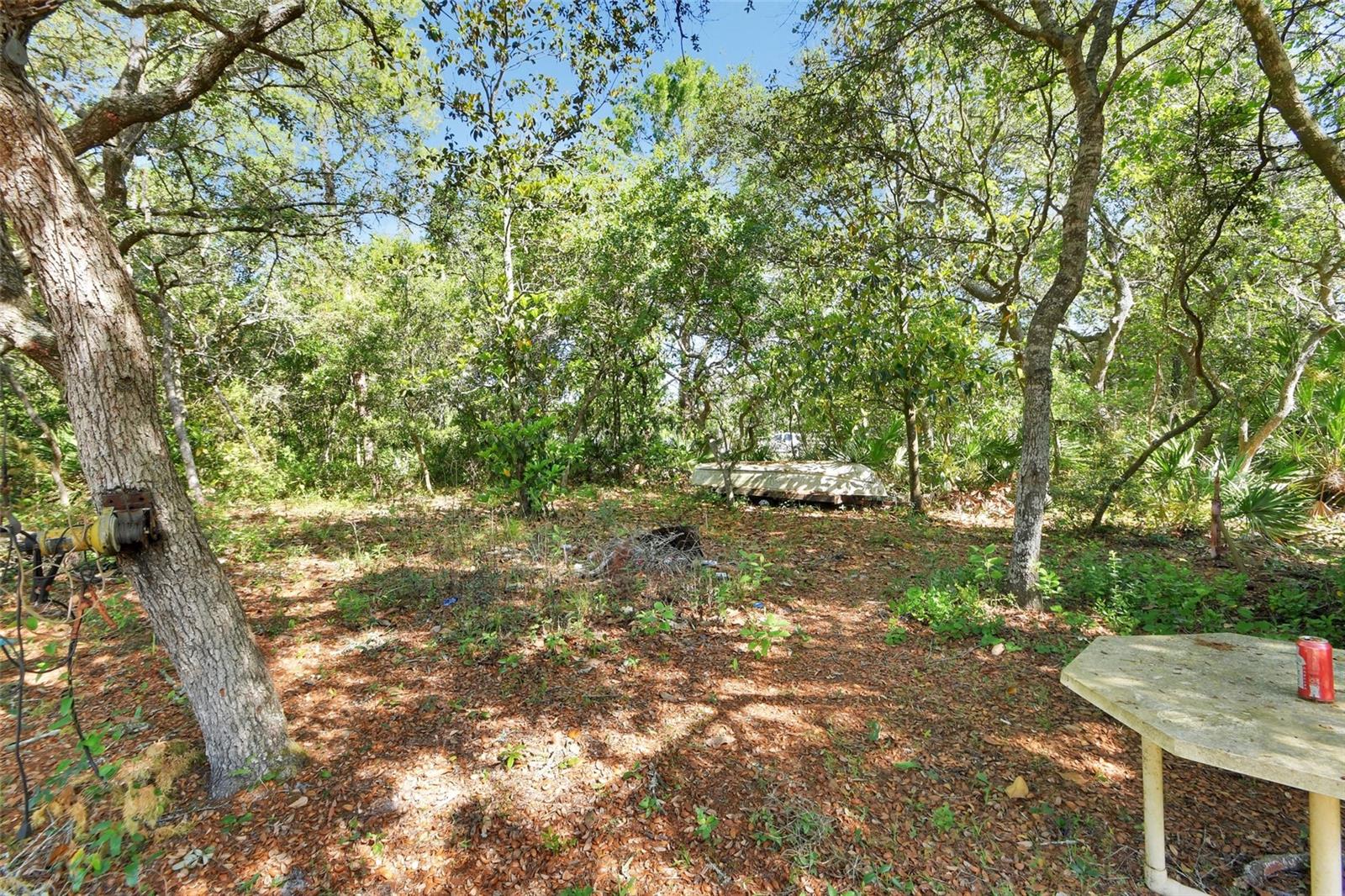 45742 OHIO ST, PAISLEY, FL — photo 41