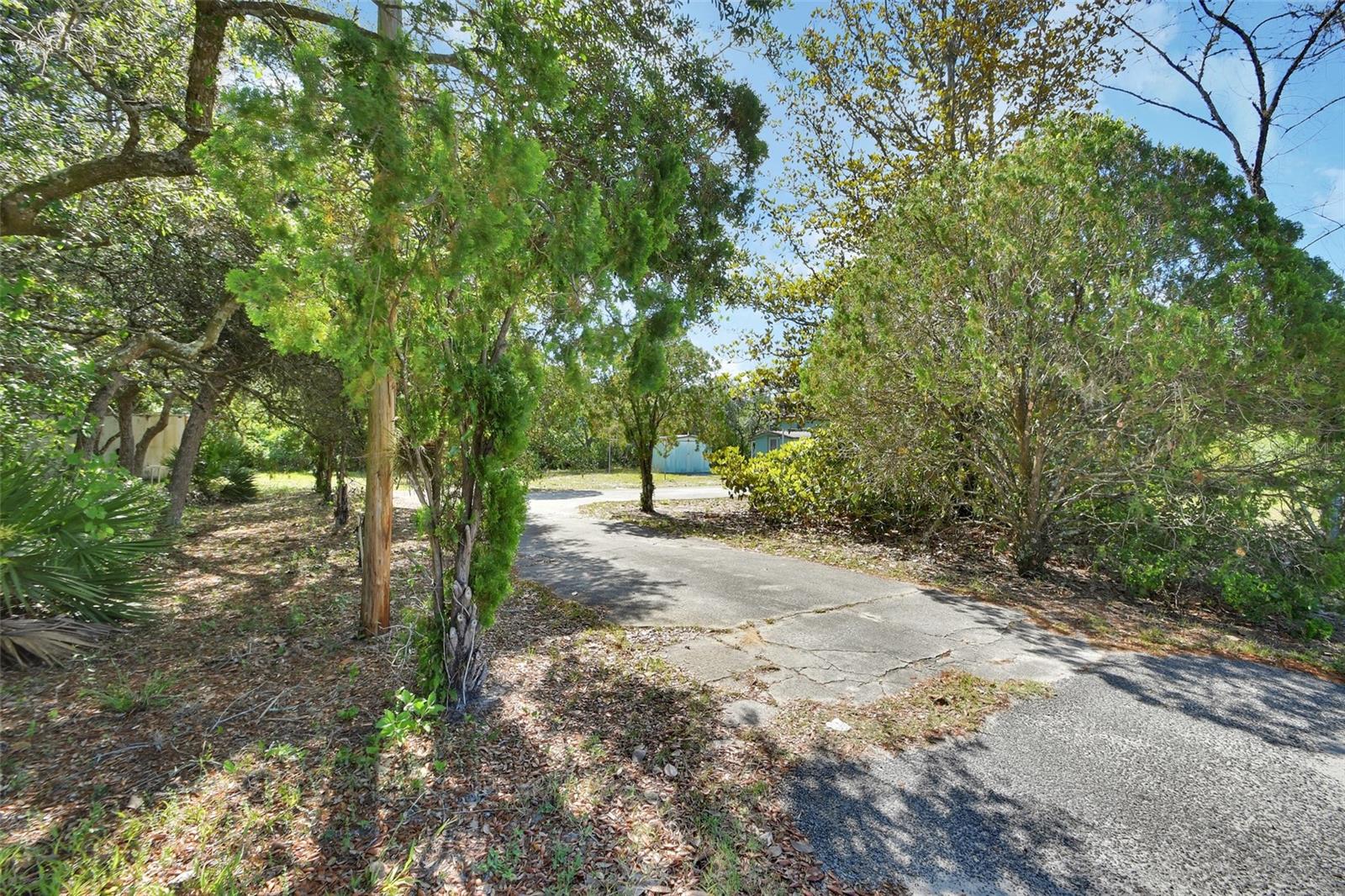 45742 OHIO ST, PAISLEY, FL — photo 48