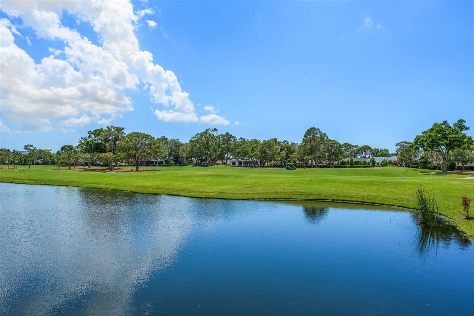 19 HIBISCUS RD, BELLEAIR, FL — photo 5