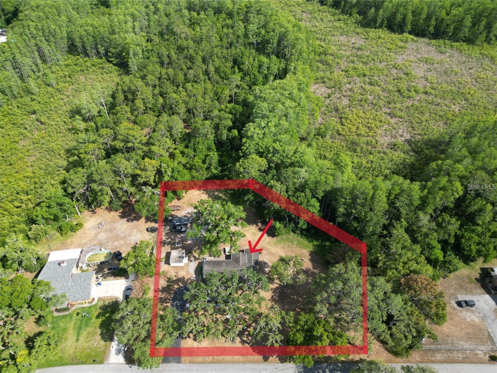 13020 SUGAR CREEK BLVD, HUDSON, FL — photo 22