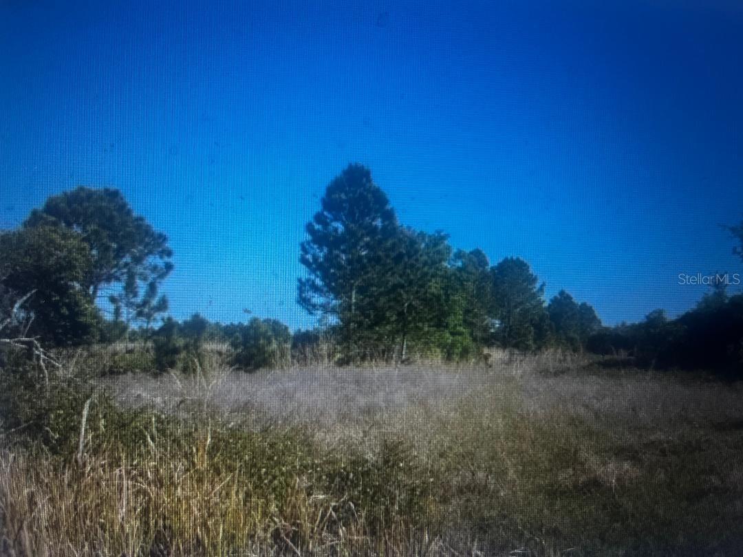733 N TARRY LN, LORIDA, FL