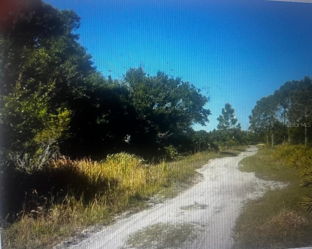733 N TARRY LN, LORIDA, FL — photo 2