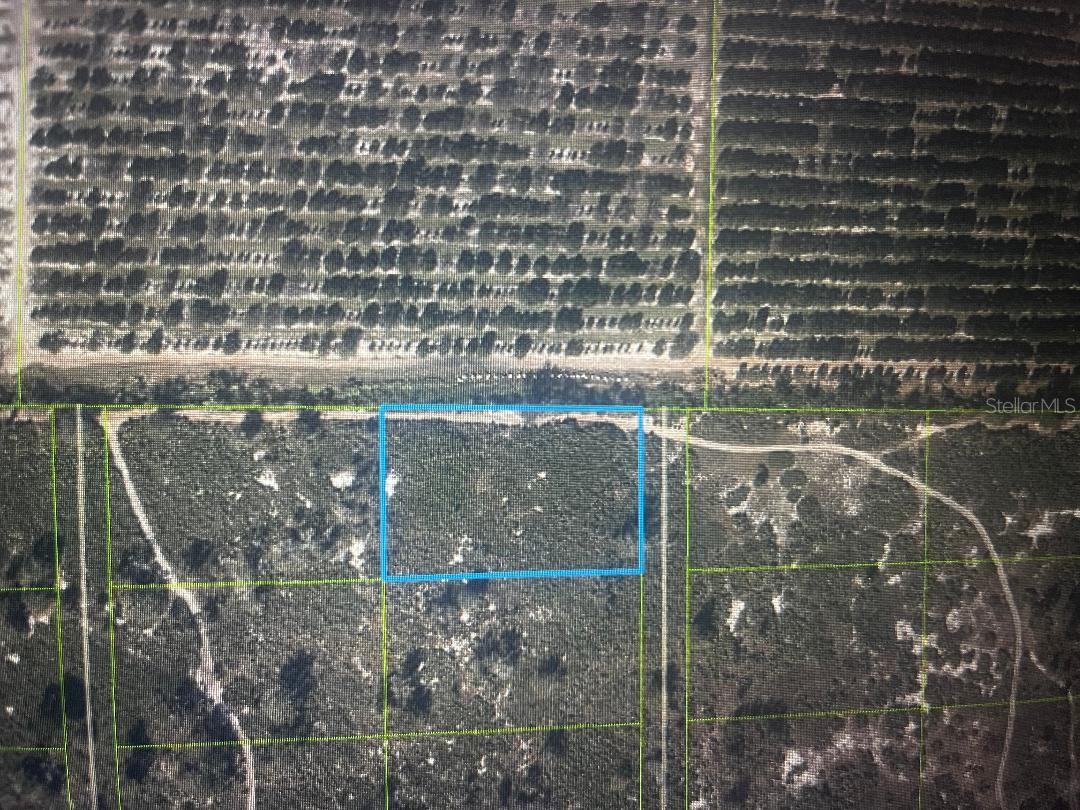 733 N TARRY LN, LORIDA, FL — photo 3