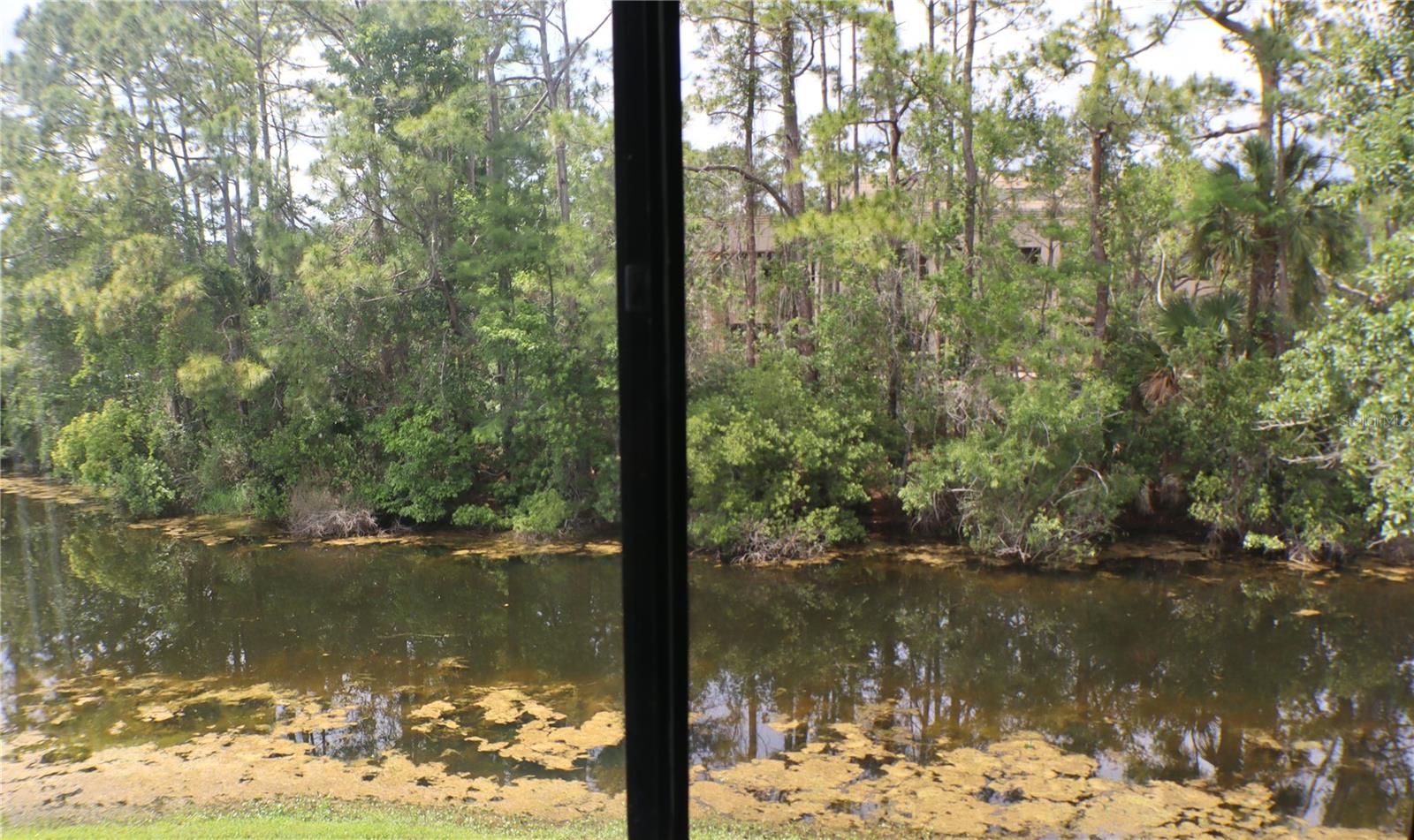 100 KINGBIRD CIR #1, DAYTONA BEACH, FL — photo 17