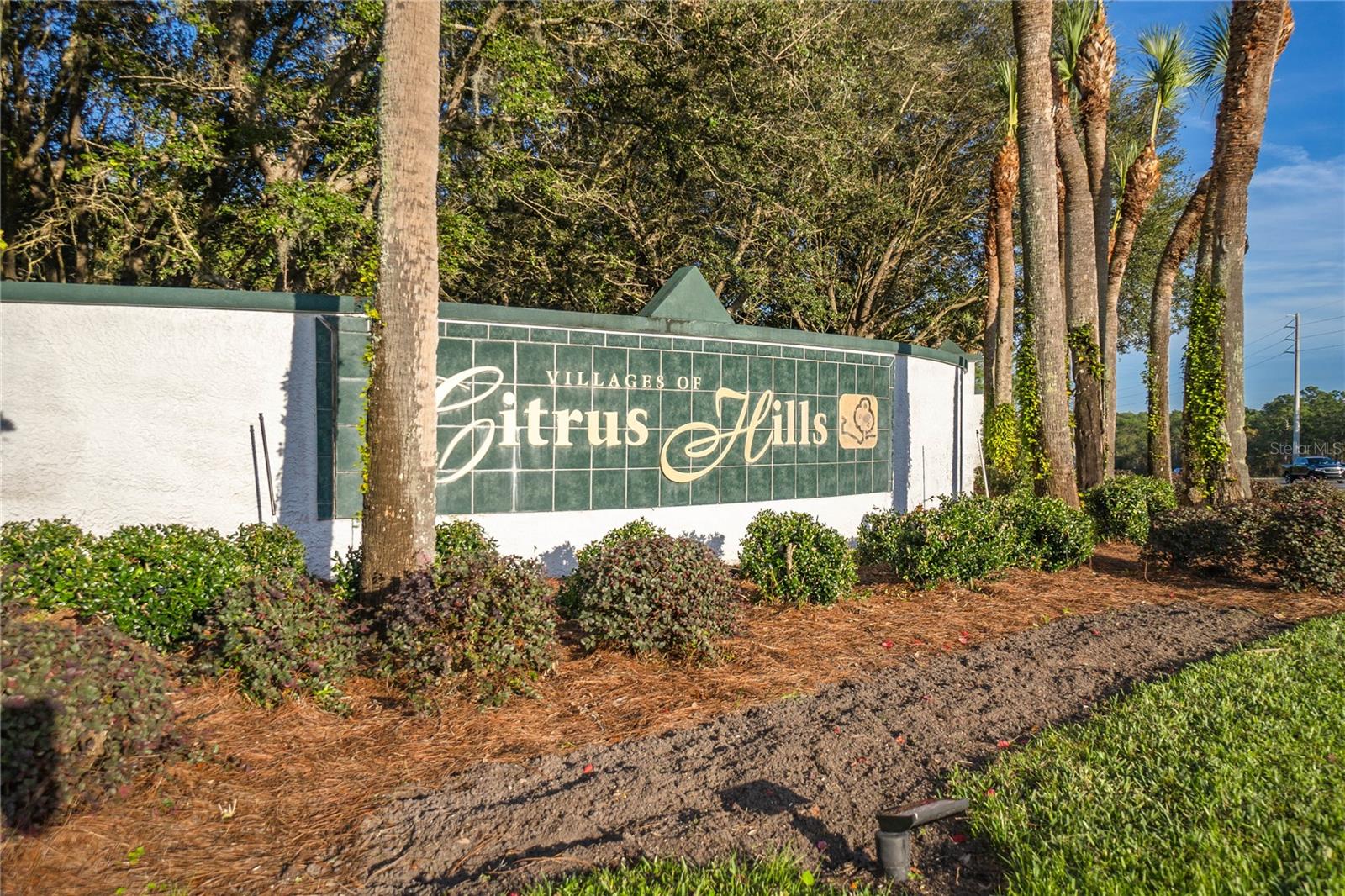 2163 N BRENTWOOD CIR, LECANTO, FL — photo 46