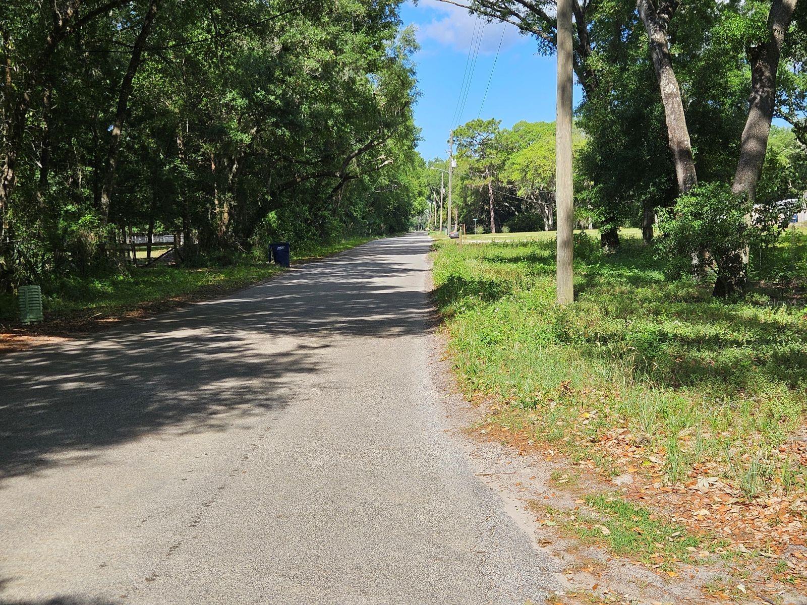 BURNSED RD, PIERSON, FL — photo 10