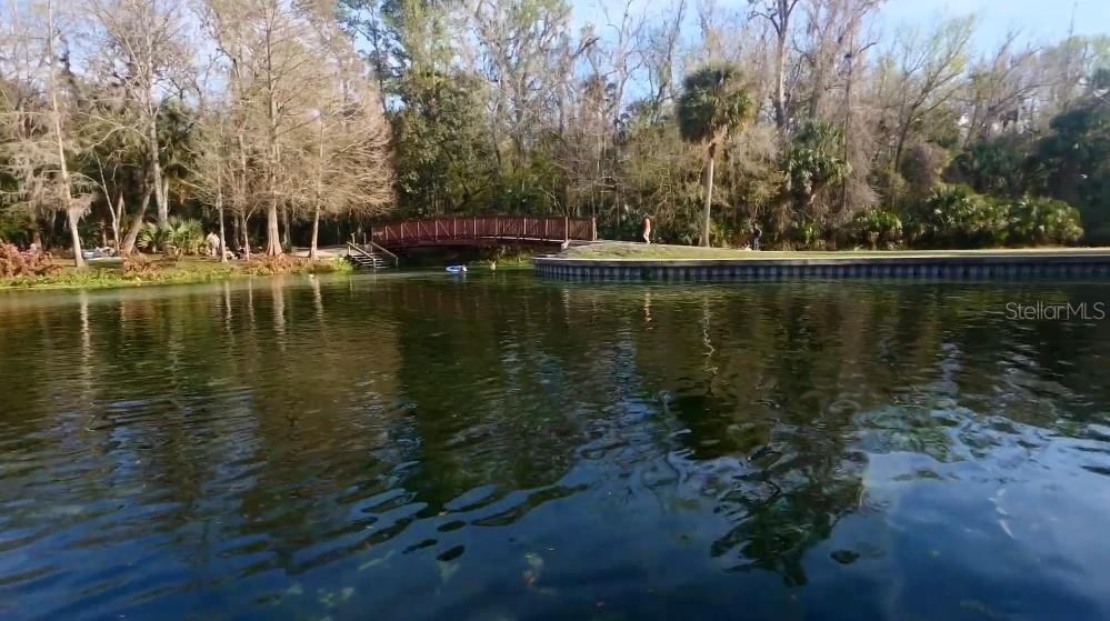 30621 PRESTWICK AVE, SORRENTO, FL — photo 62