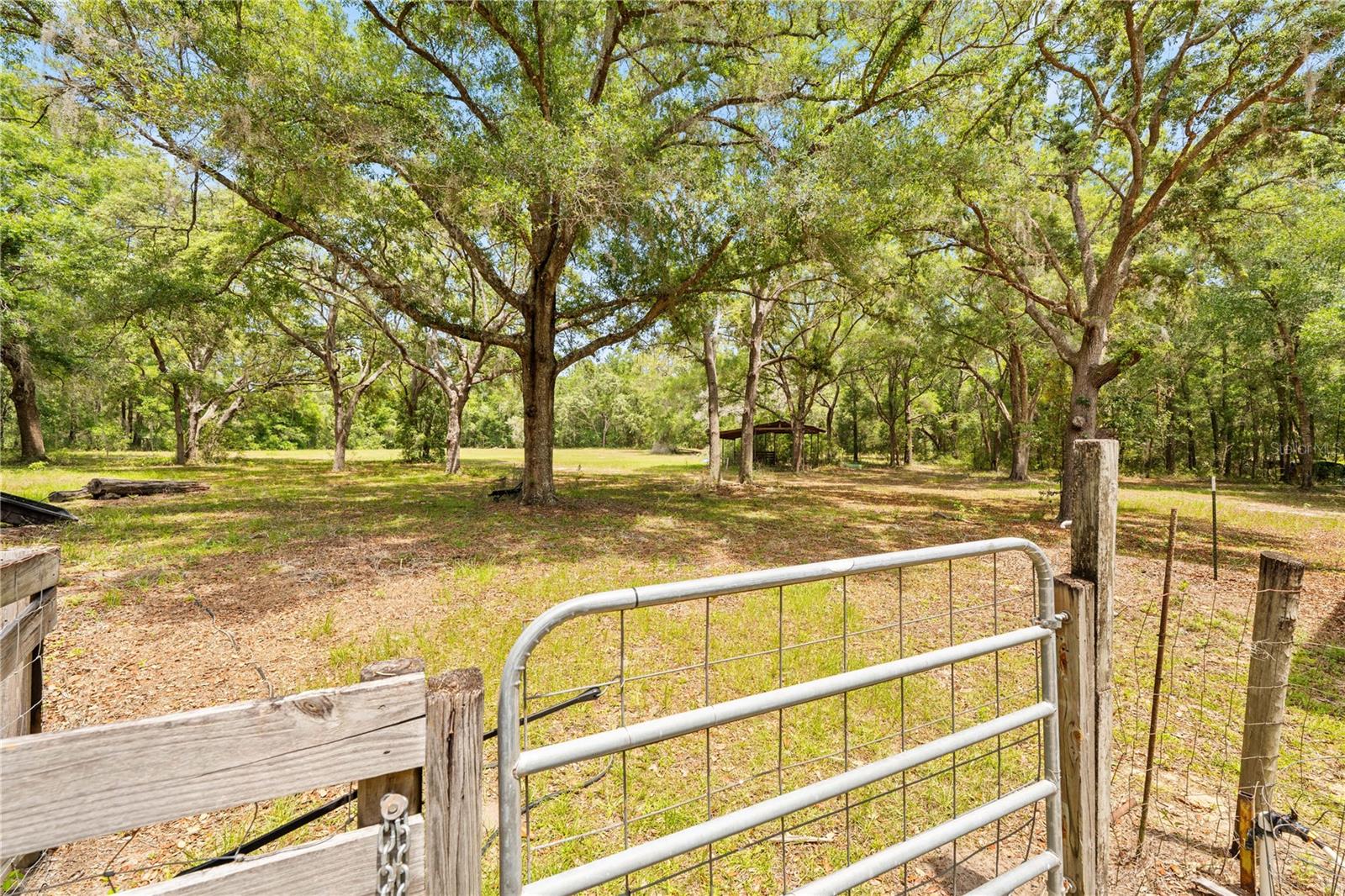 27137 LAMBETH RD, BROOKSVILLE, FL — photo 59