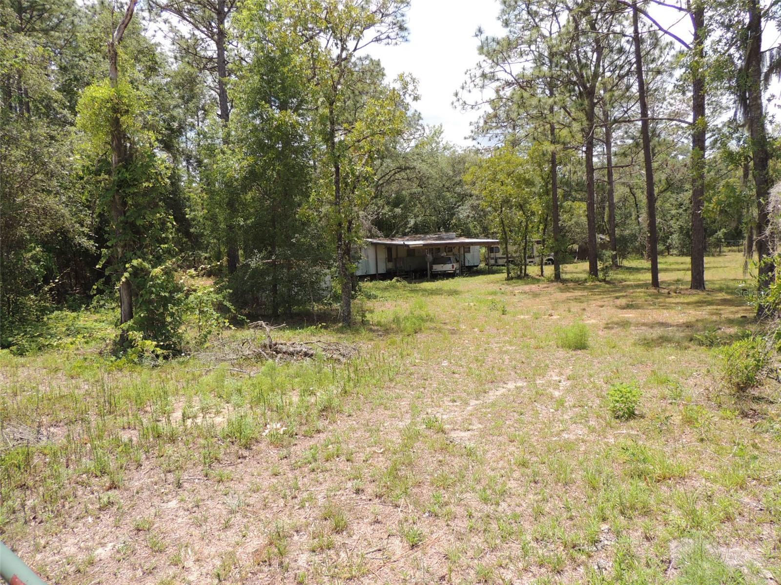 250 NE 131ST AVE, WILLISTON, FL