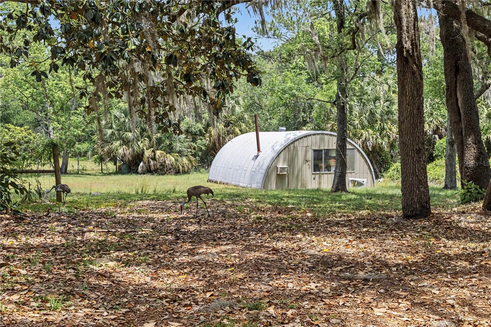18007 SE 90TH ST, OCKLAWAHA, FL — photo 31
