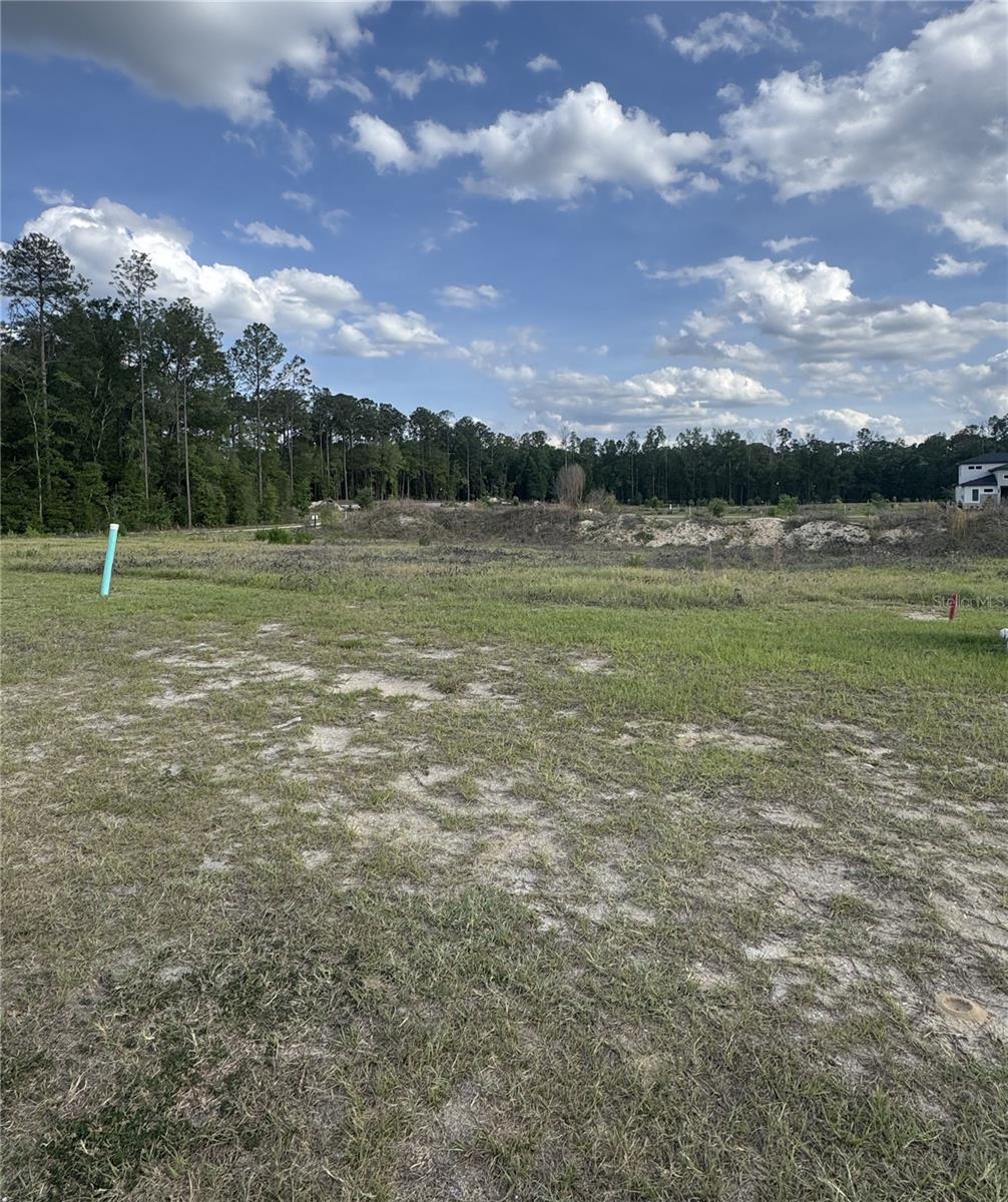 14759 SW 9TH LN, NEWBERRY, FL — photo 4