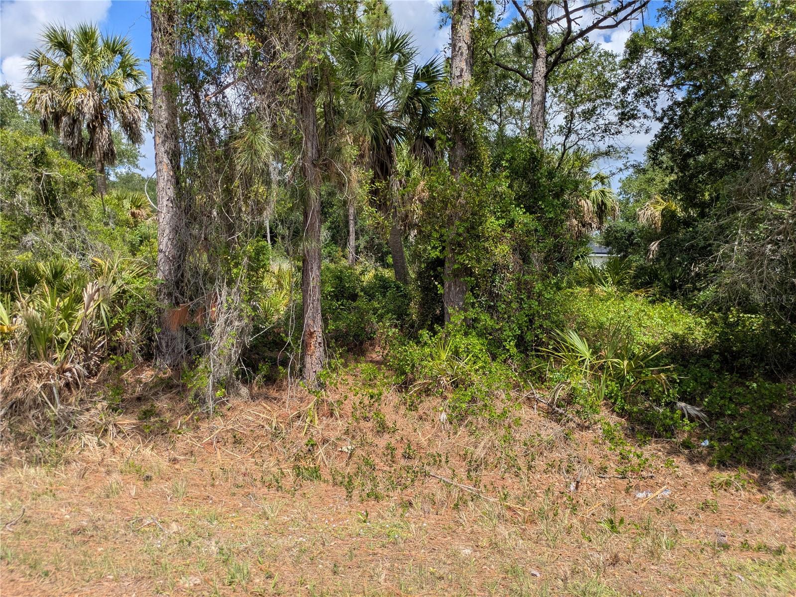 DELIGHT AVE, NORTH PORT, FL — photo 2