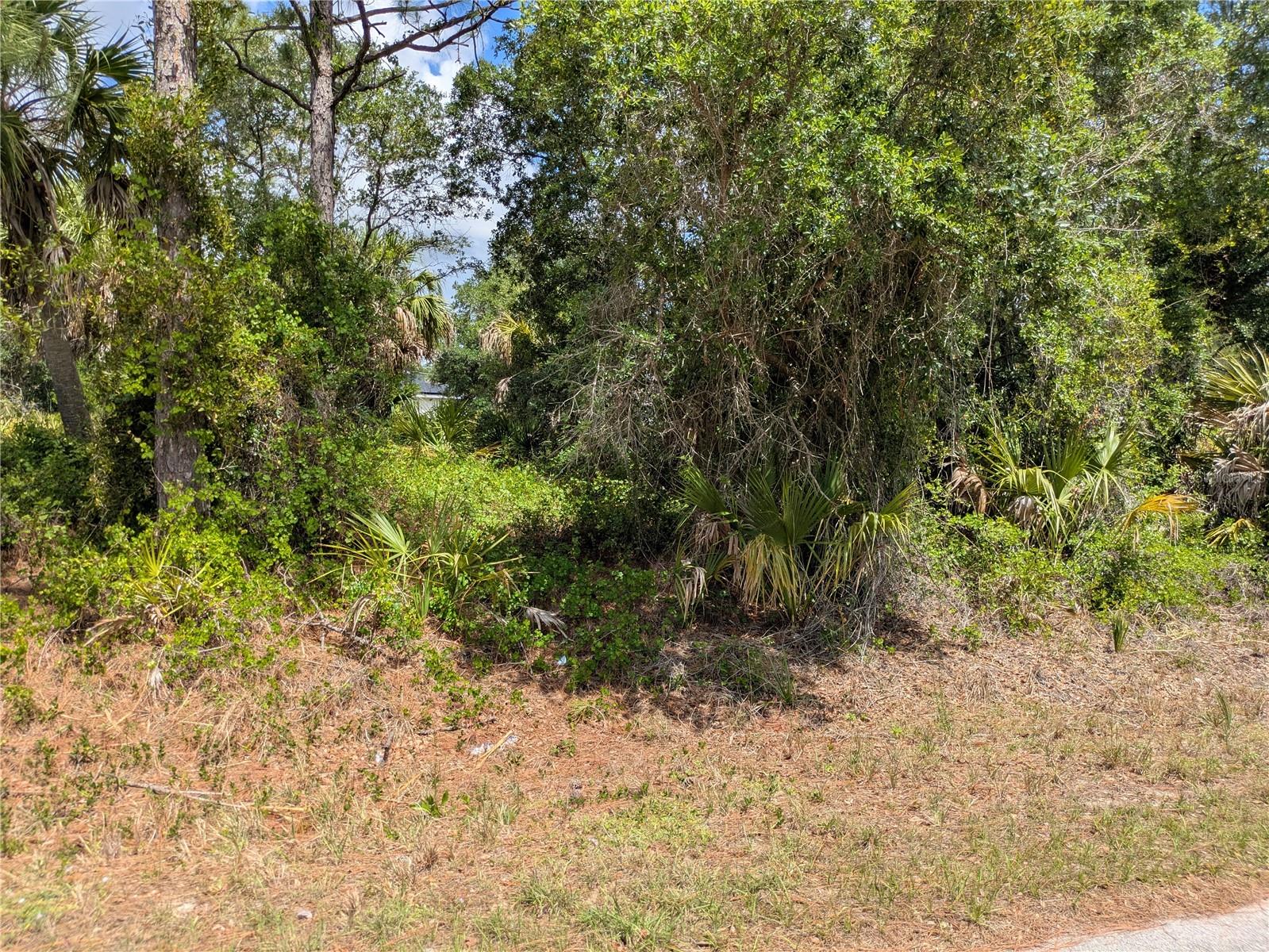 DELIGHT AVE, NORTH PORT, FL — photo 3
