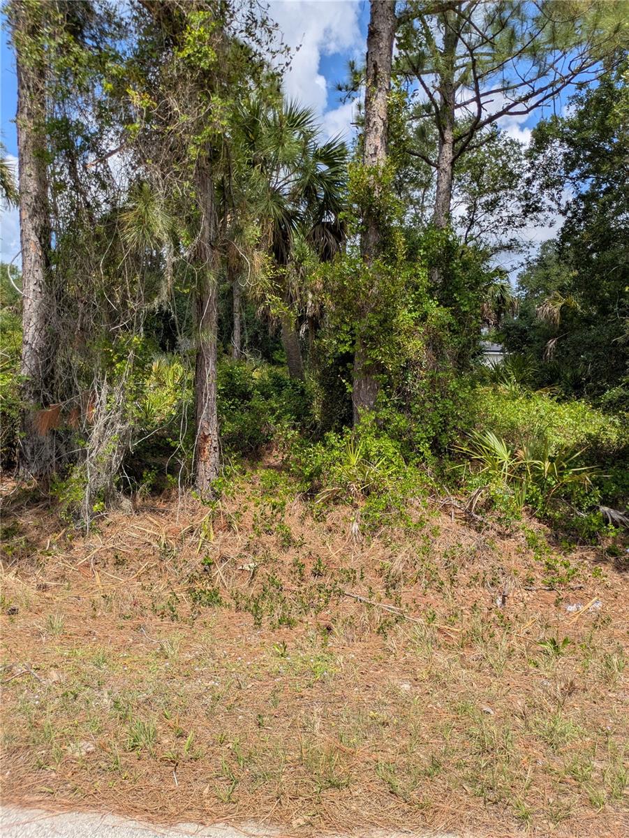 DELIGHT AVE, NORTH PORT, FL — photo 6