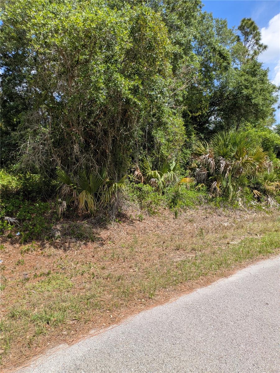 DELIGHT AVE, NORTH PORT, FL — photo 7