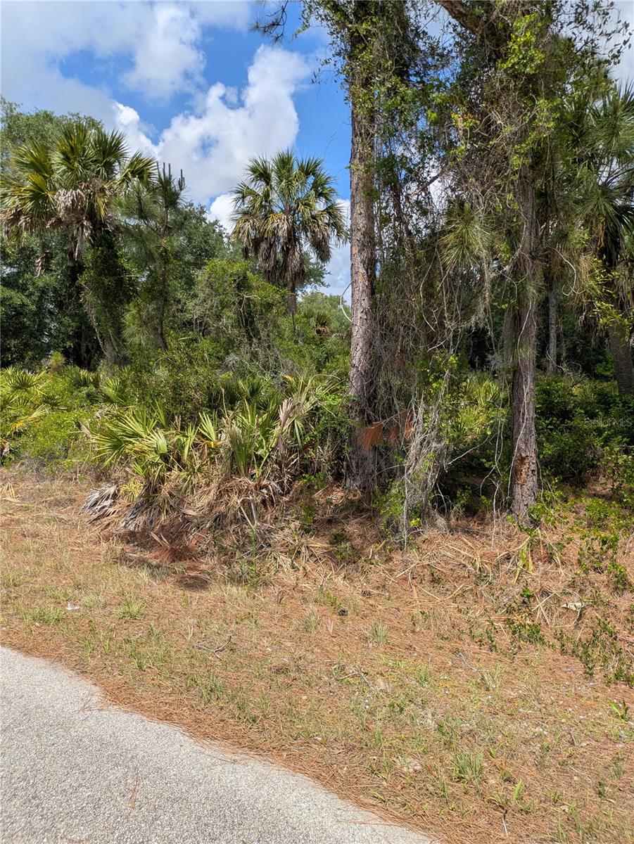 DELIGHT AVE, NORTH PORT, FL — photo 8