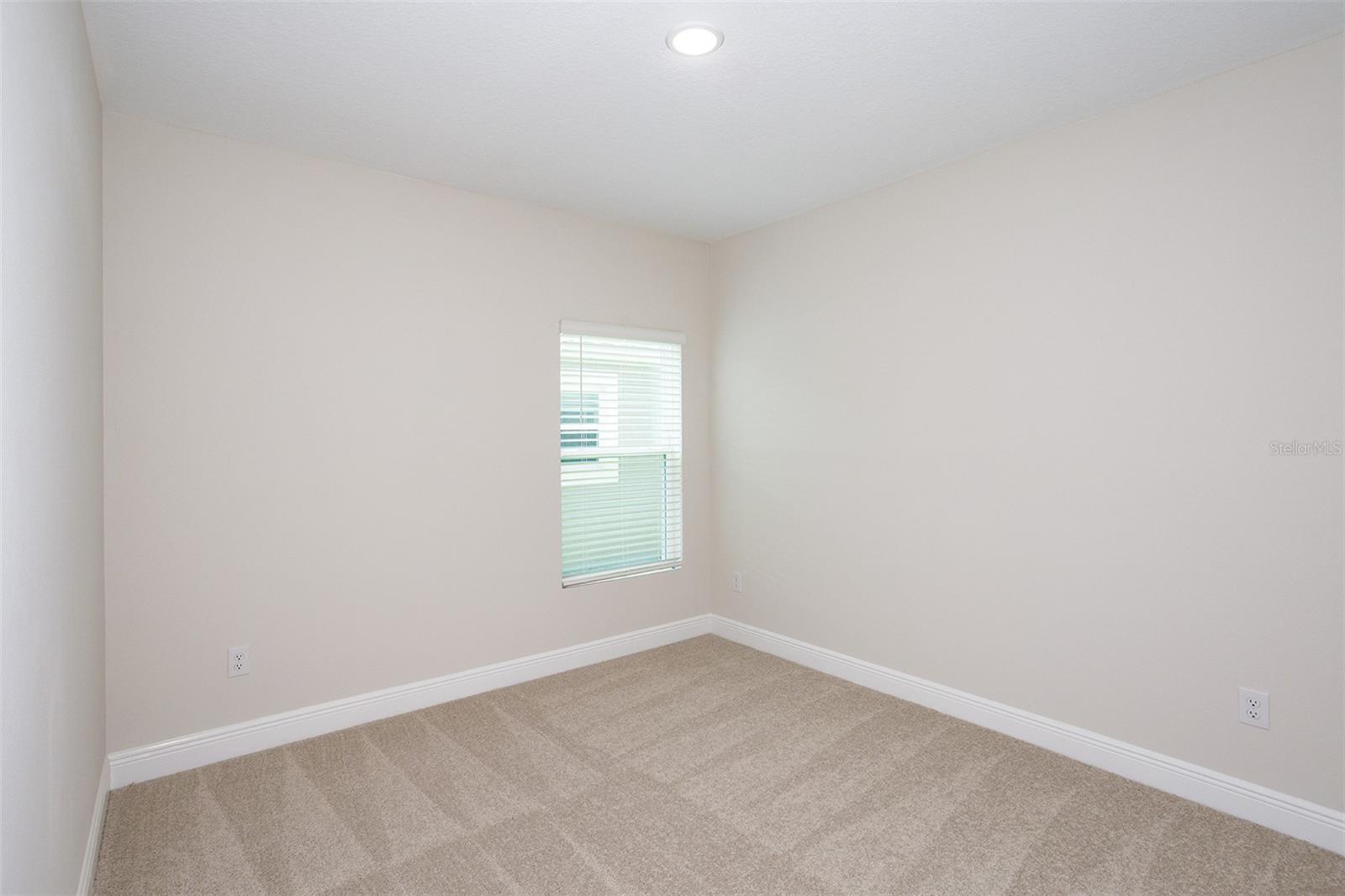 9886 ANNUNCIATION DR, WESLEY CHAPEL, FL — photo 17