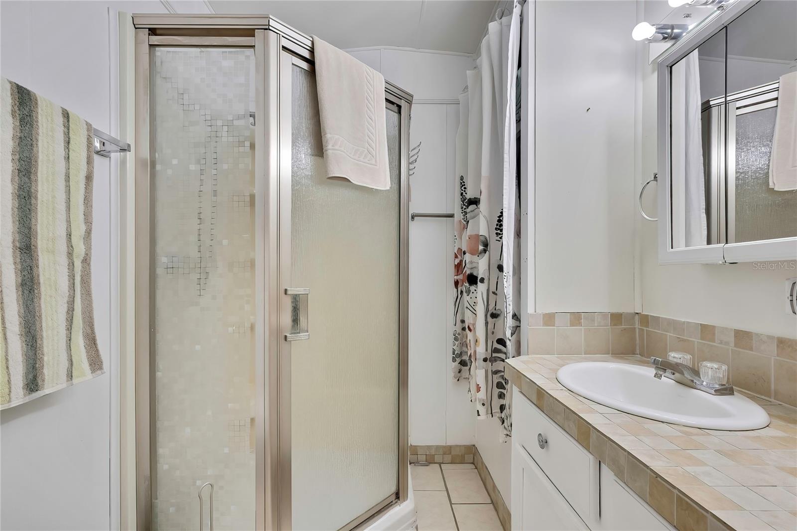 800 32ND AVE S #606, ST PETERSBURG, FL — photo 8