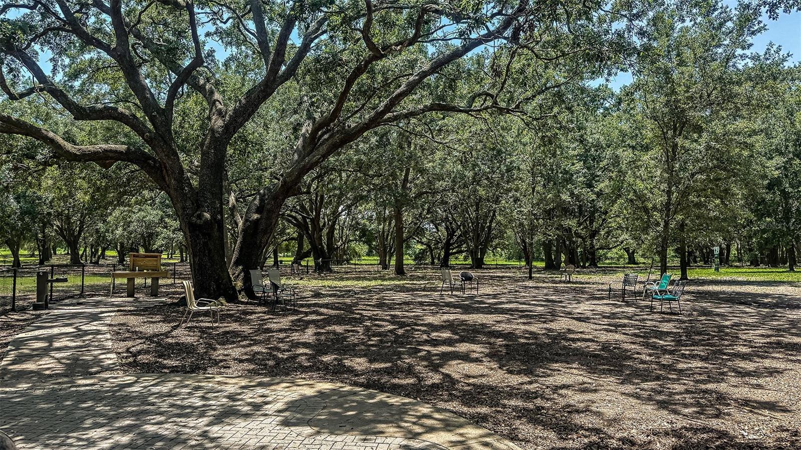 371 CORNERSTONE DR, GROVELAND, FL — photo 88