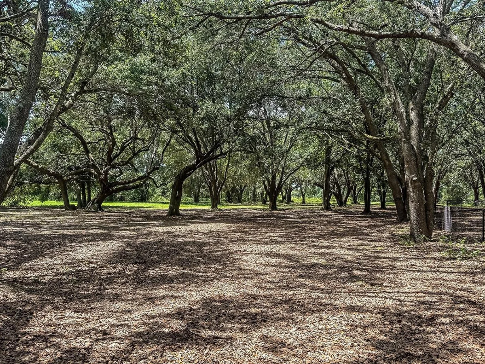 371 CORNERSTONE DR, GROVELAND, FL — photo 124