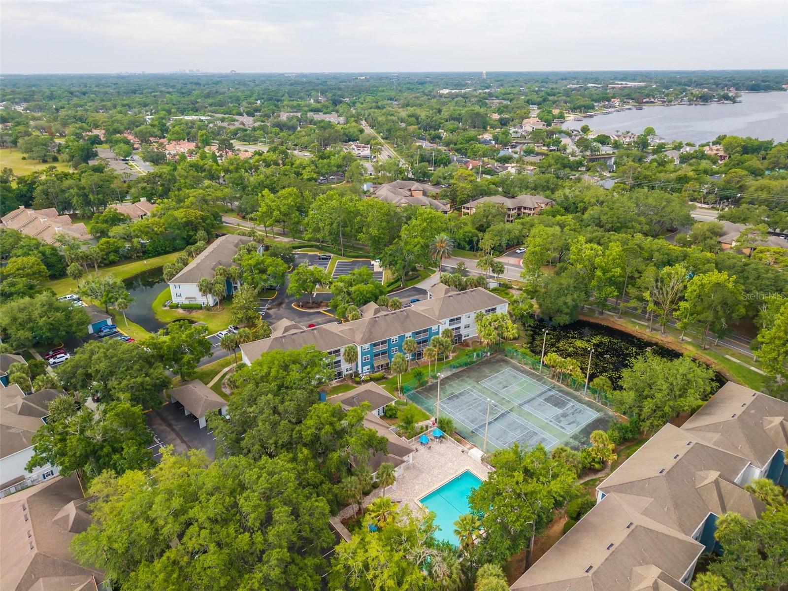 7302 OLYMPIA CT, LONGWOOD, FL — photo 40