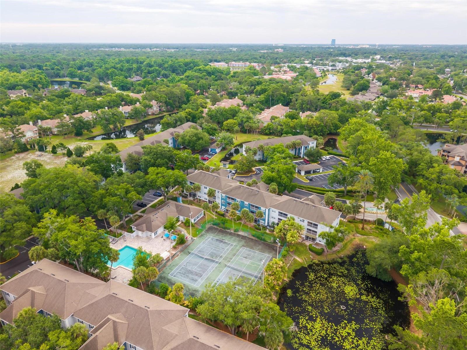 7302 OLYMPIA CT, LONGWOOD, FL — photo 41