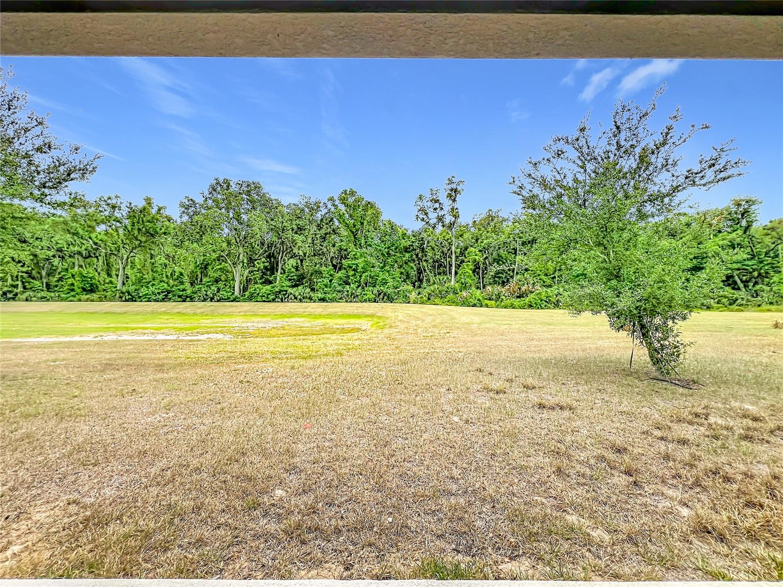 20029 ROYAL TERN CT, LEESBURG, FL — photo 92