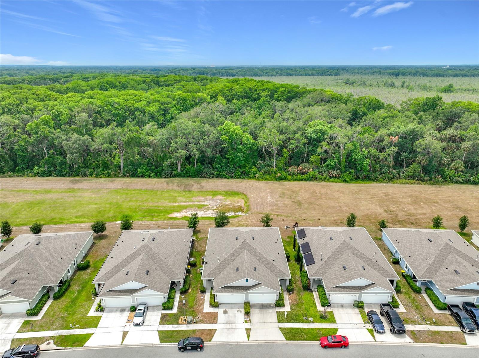 20029 ROYAL TERN CT, LEESBURG, FL — photo 114
