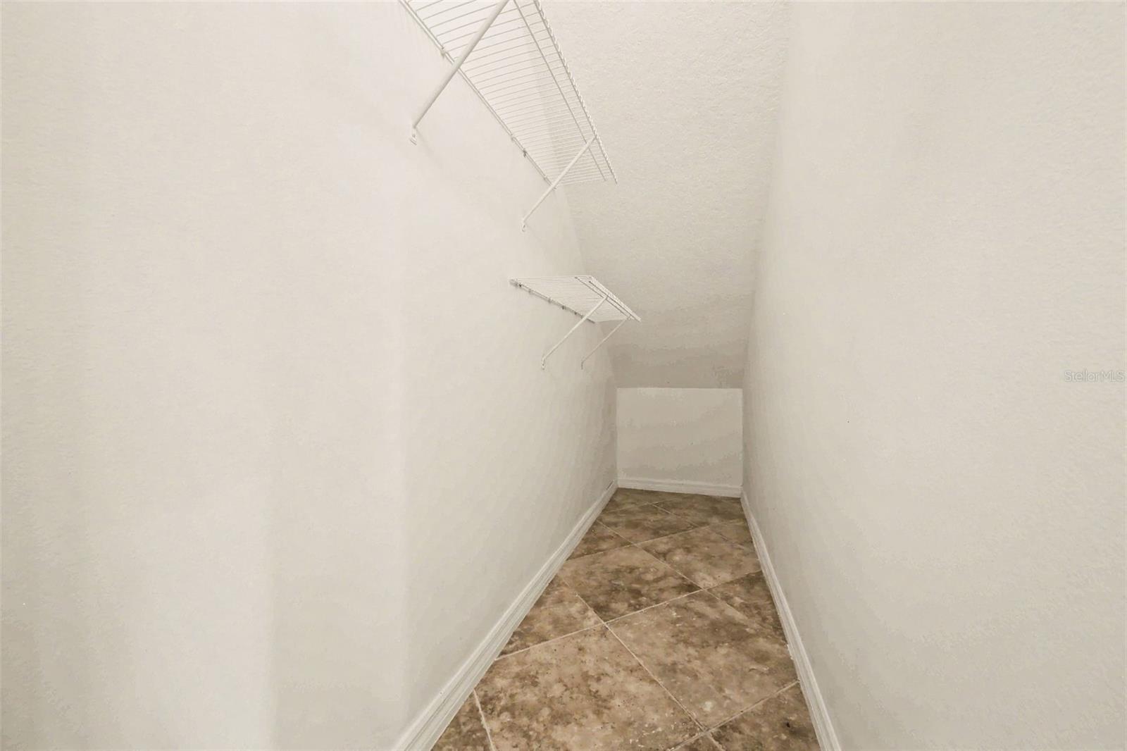 30030 MESSARA CV, MOUNT DORA, FL — photo 54