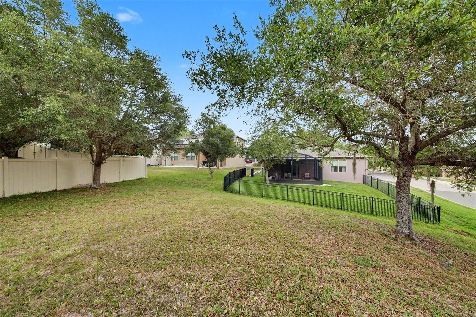30030 MESSARA CV, MOUNT DORA, FL — photo 75