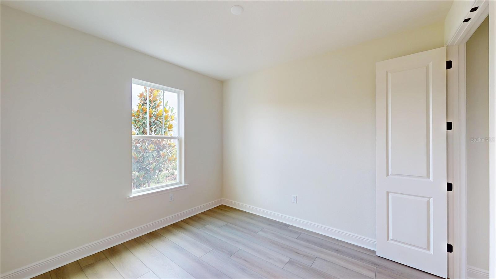 28741 JUJUBE RD, WESLEY CHAPEL, FL — photo 18