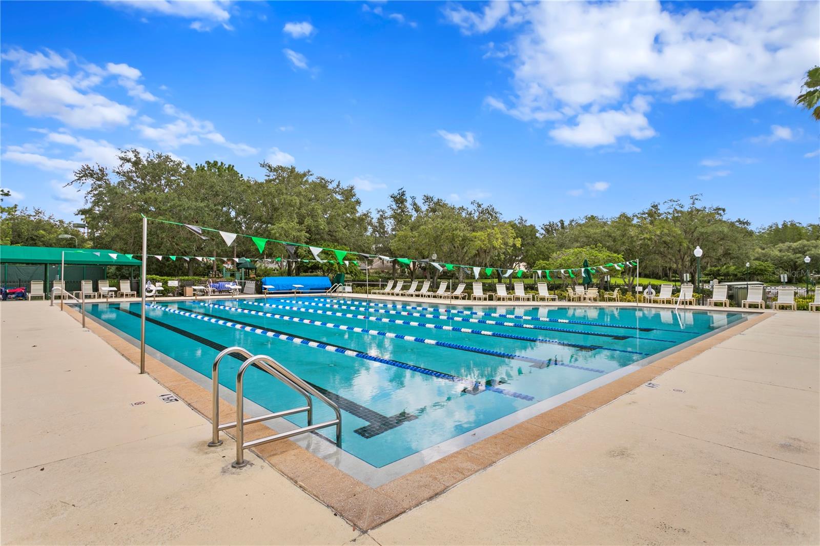 10235 ESTUARY DR, TAMPA, FL — photo 64