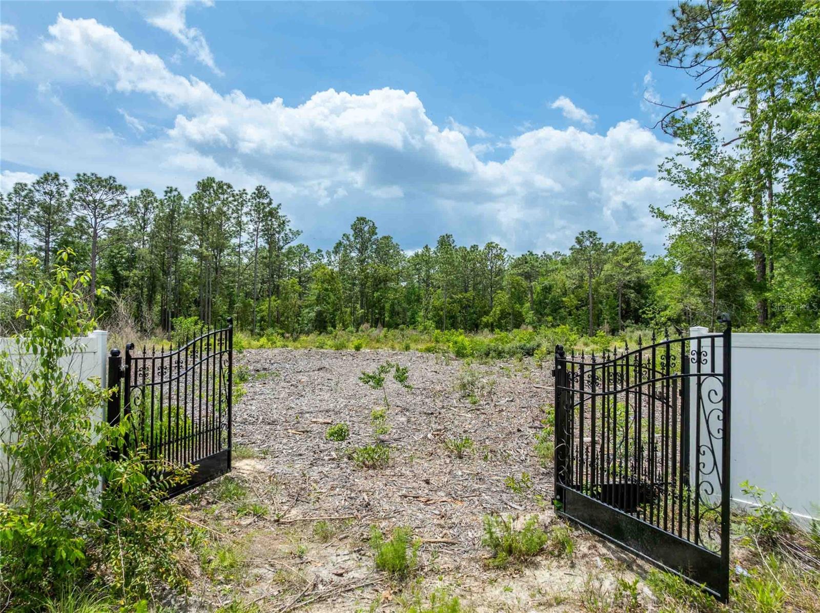 15022 GAR ST, SPRING HILL, FL — photo 2