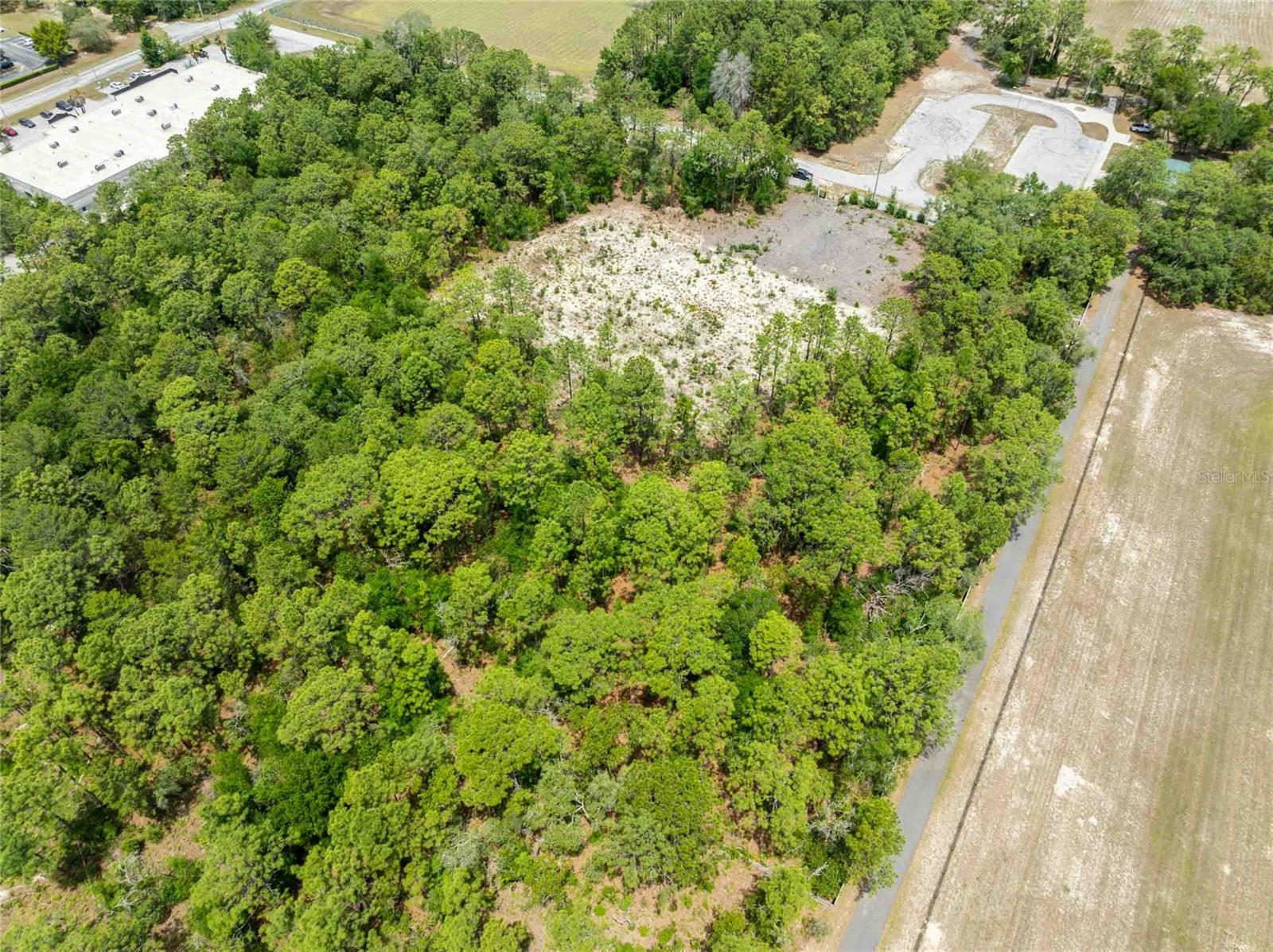 15022 GAR ST, SPRING HILL, FL — photo 11