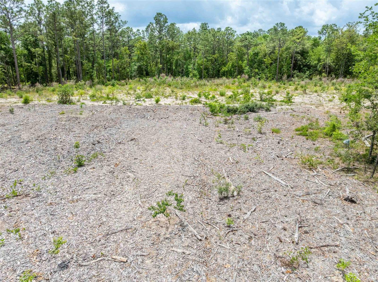 15022 GAR ST, SPRING HILL, FL — photo 17