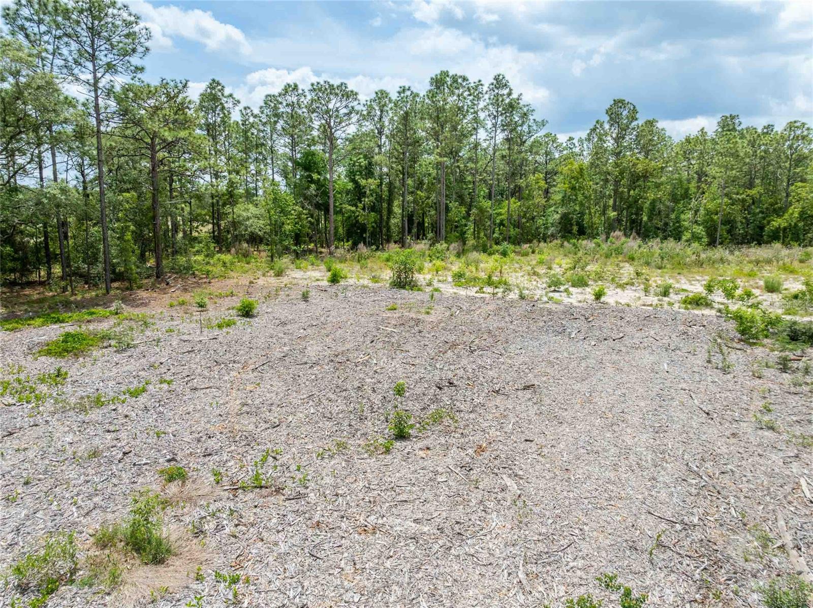 15022 GAR ST, SPRING HILL, FL — photo 18