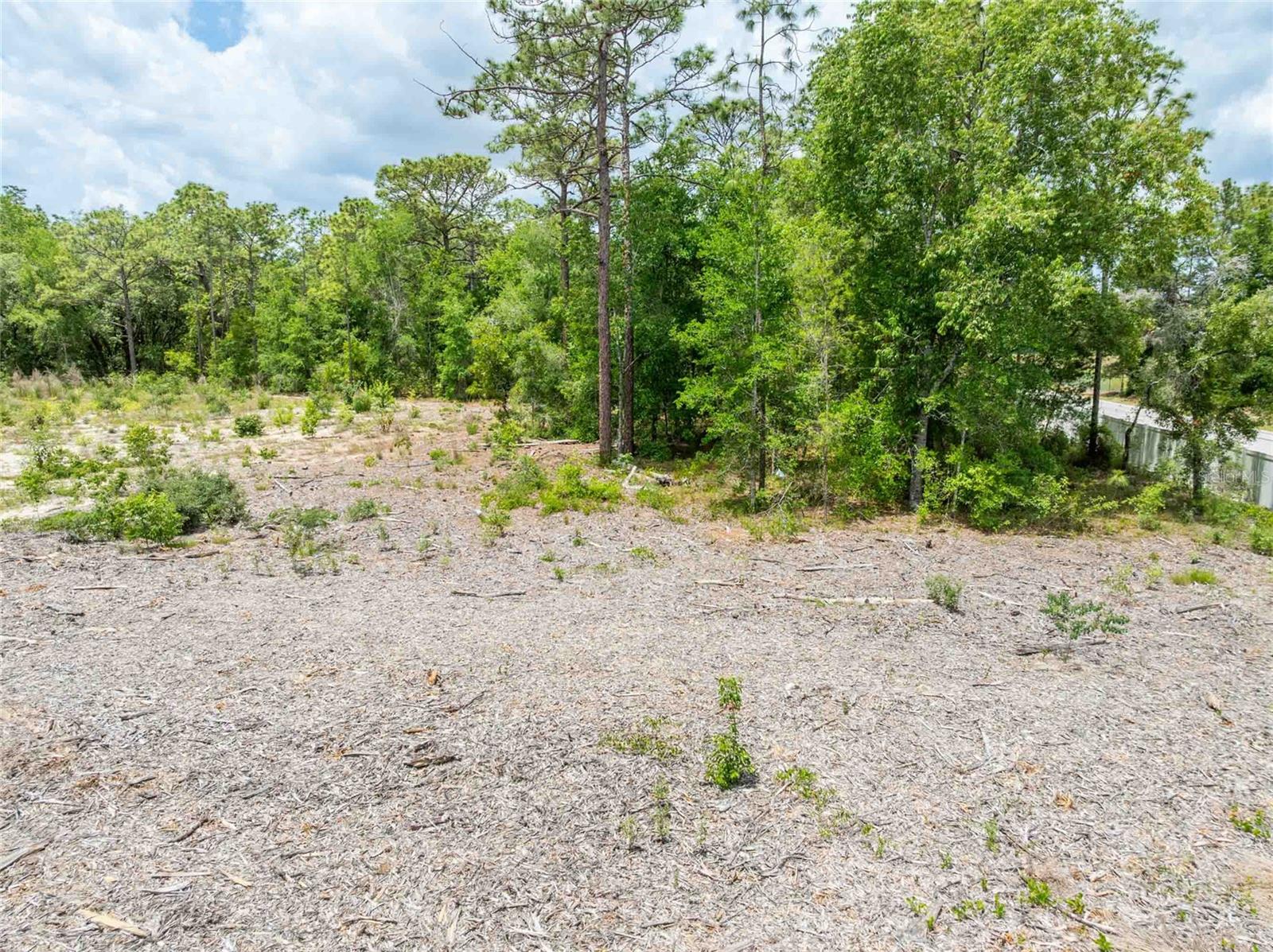 15022 GAR ST, SPRING HILL, FL — photo 19