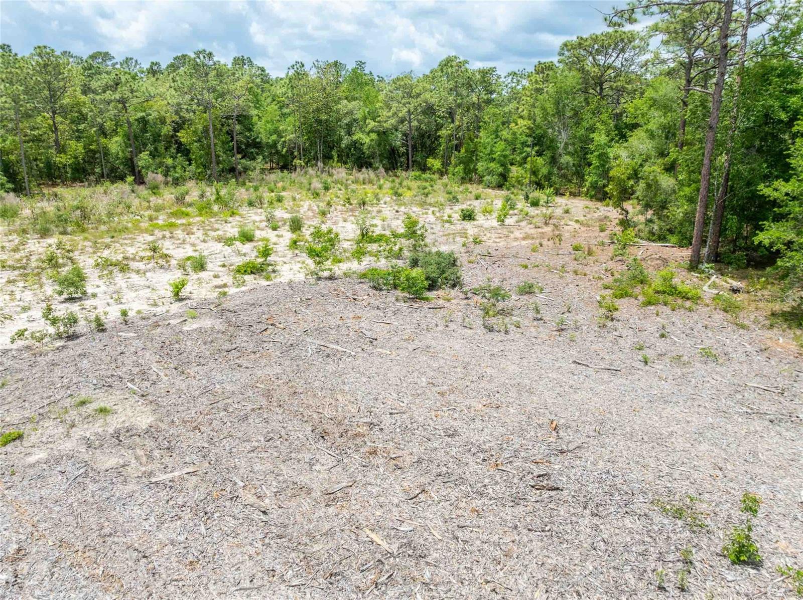 15022 GAR ST, SPRING HILL, FL — photo 20