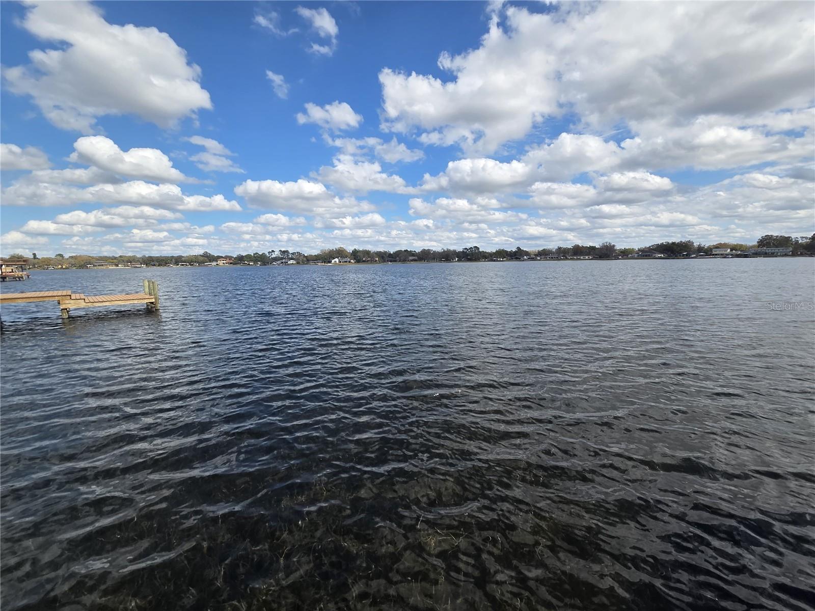 3626 SWANS LANDING DR, LAND O LAKES, FL — photo 31