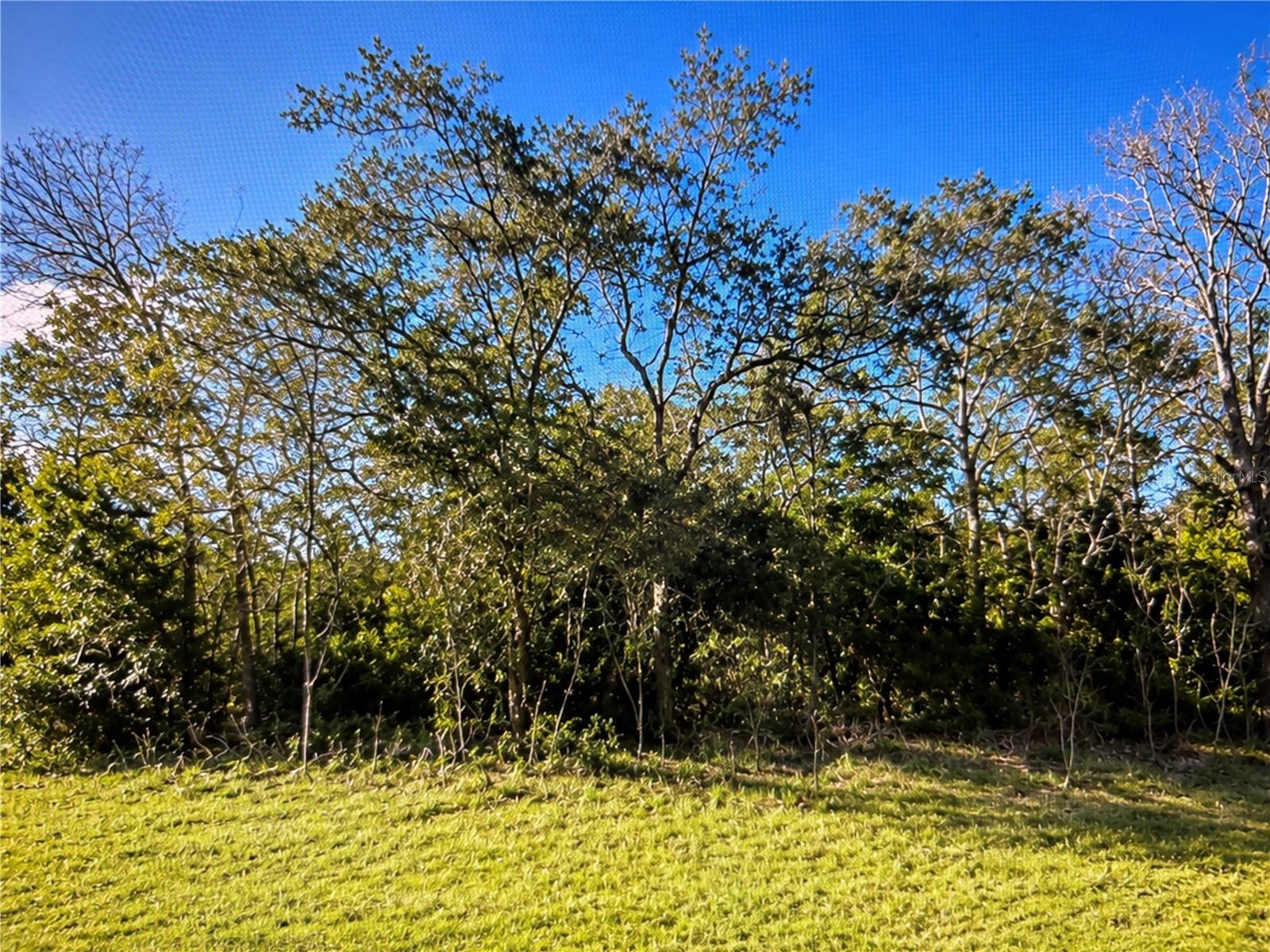 143 PL, OCALA, FL