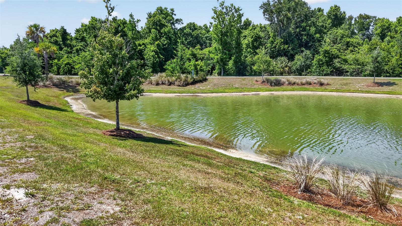 6857 BAYSINGER PATH, THE VILLAGES, FL — photo 94