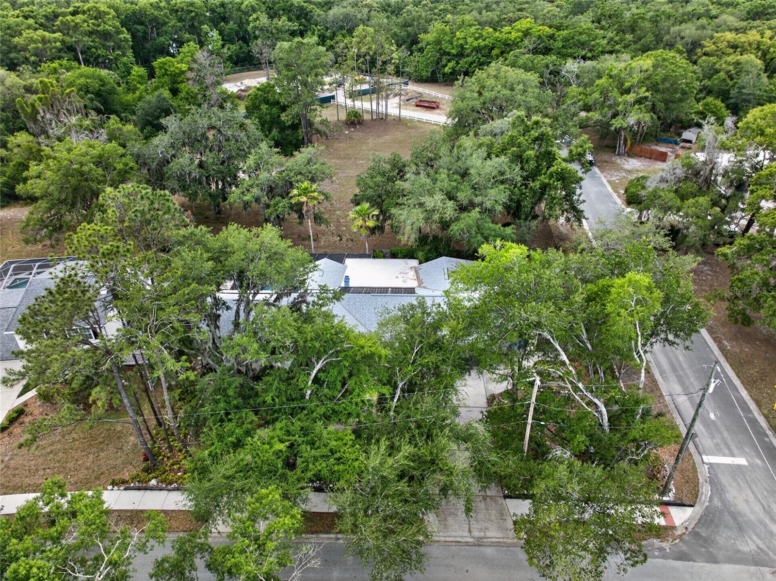 901 W RIVER DR, TEMPLE TERRACE, FL — photo 51